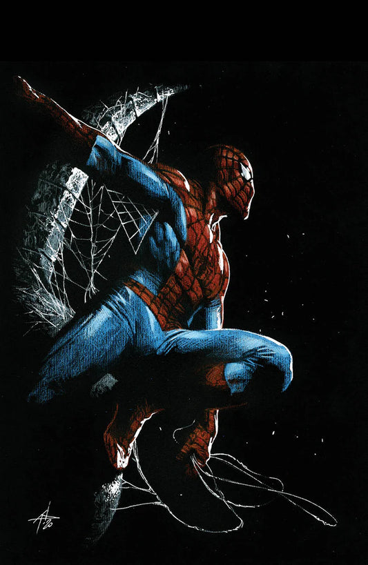 [SIGNED W/COA] Non-Stop Spider-Man #1 Unknown Comics Gabriele Dell_Otto Exclusive Var [08-25]